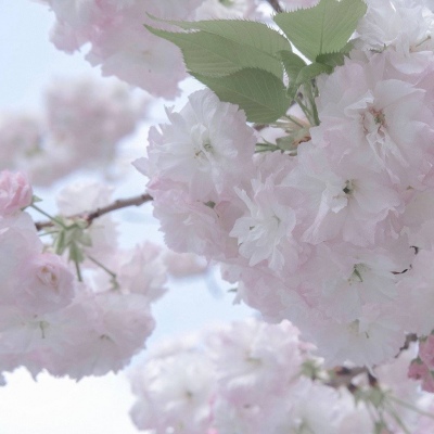 Furry插画创意构思FurryQQ群